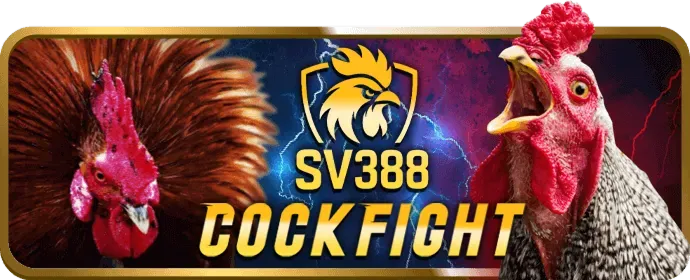 Đội ngũ hỗ trợ khách hàng B52WIN 24/7